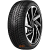 Шины Roadstone Winguard Ice Plus 245/45 R19 102T XL